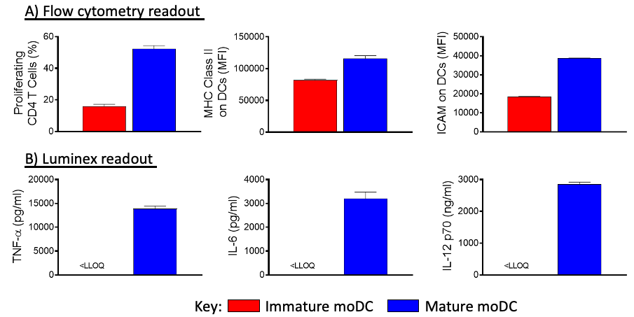 Analyze of cytokines production in immature and mature moDC +/- CD4 T cells culture by flow cytometry or Luminex readout.