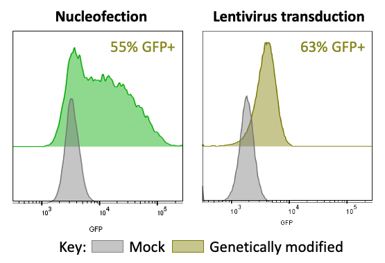 Results of the efficiency of transfection/transduction of moDC by flow cytometry.
