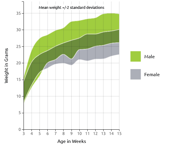 FVB Mouse US Growth Chart