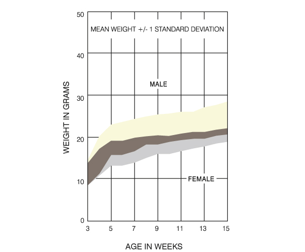 Fox Chase SCID Mouse France Growth Chart