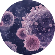 Illustration of RSV cells