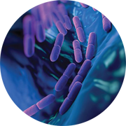 Illustration of Sepsis Models.