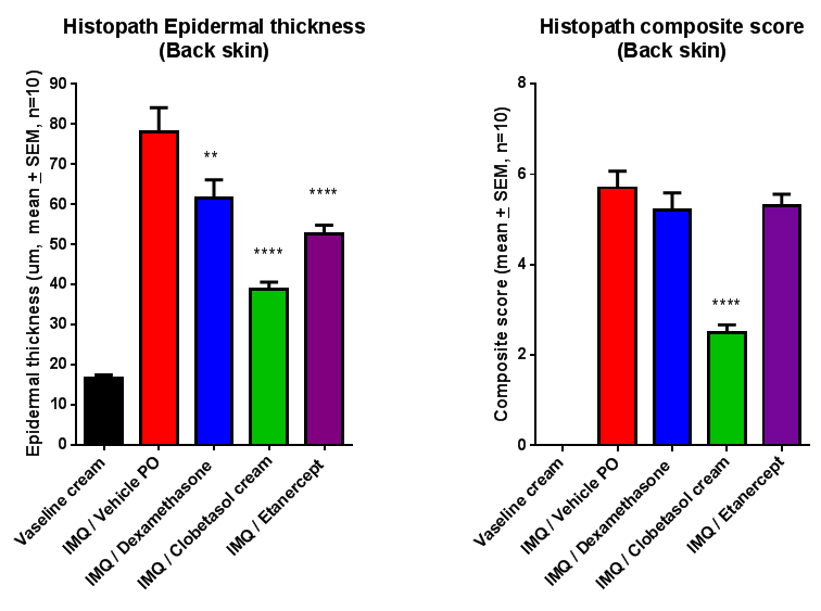 Graphs showing effects of standard anti-psoriatic agents on epidermal thickness and histopathological disease score in mouse model of human psoriasis