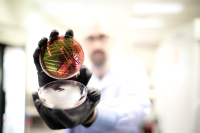lab technician preparing sample to be shipped for microbial identification