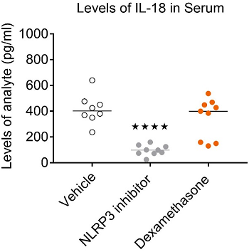 A NOD-like receptor protein 3 (NLRP3) inhibitor and Dexamethasone inhibit the inflammasome-induced release of IL-1β in peritoneal
wash and serum. Only NLRP3 inhibition results in a significant reduction in serum IL-18.
