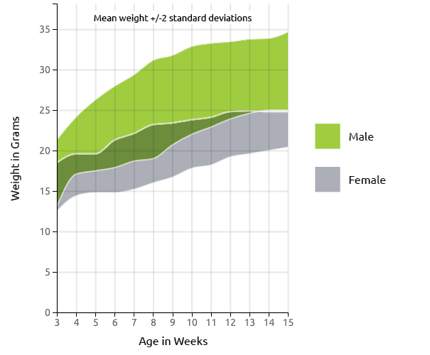 NOD SCID Mouse US Growth Chart