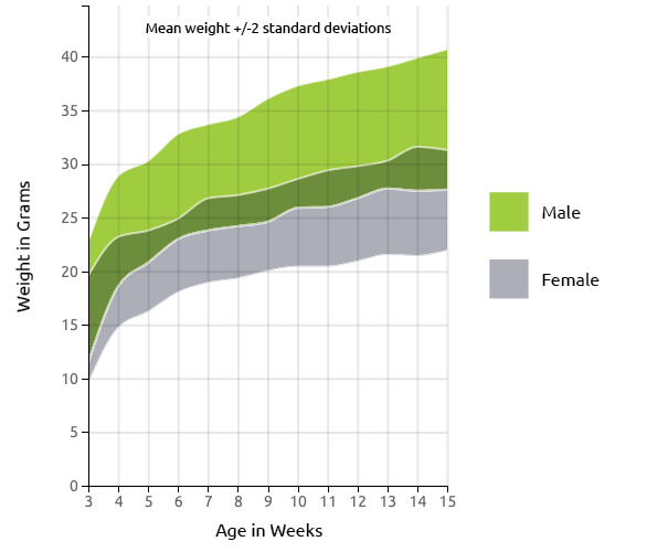 CD-1 Nude Mouse US Growth Chart