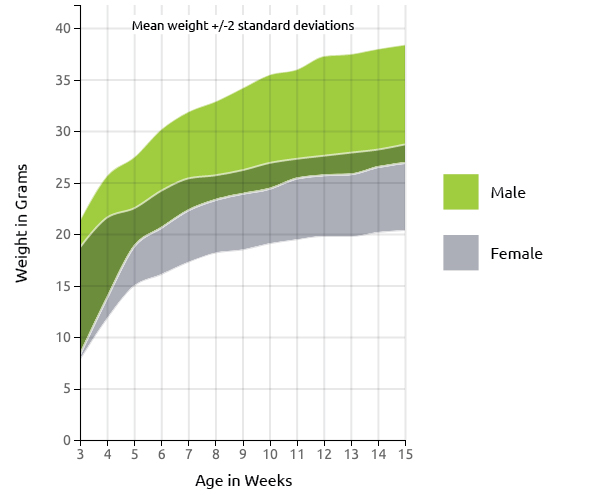 NU/NU Nude Mouse US Growth Chart