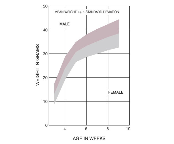 OF1 Mouse France Growth Chart