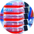 Cell biology assays in both 2D and 3D formats can be used to aid oncology research