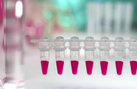 PCR test
