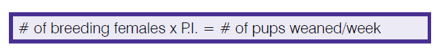 mouse production formula