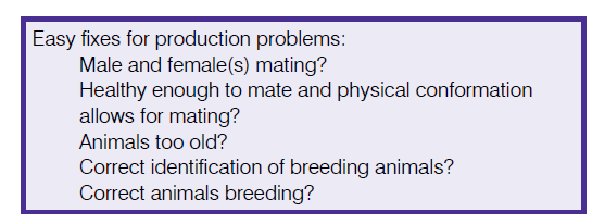 mouse production indices table