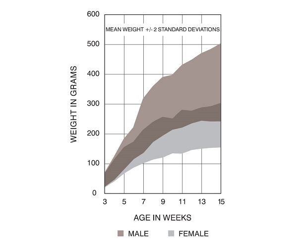 RNU Rat US Growth Chart