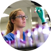 Toxicology studies supporting preclinical drug, chemical, and device development programs conducted under GLP regulations.
