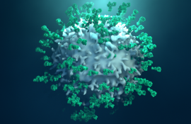 SARS-CoV-2 virus