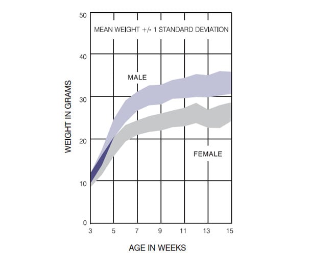 SKH1 Hairless Mouse Germany Growth Chart