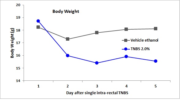 chart of body weight loss in 2% TNBS-treated mice compared with vehicle ethanol-treated mice