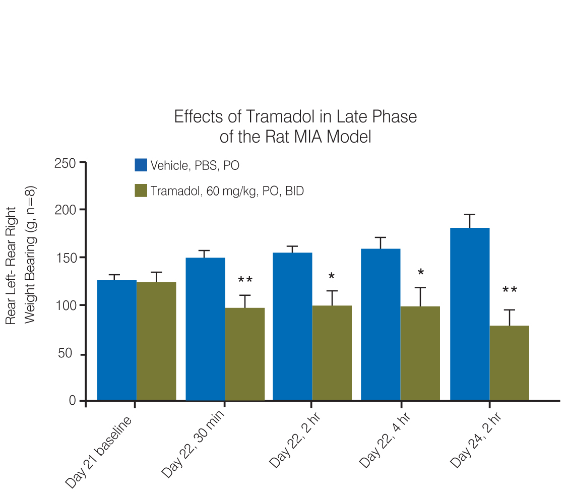 Effects of Tramadol in Late Phase of the Rat MIA Model