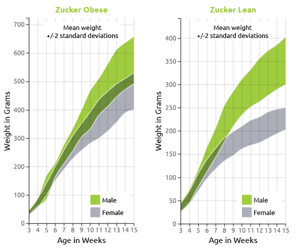 Zucker Rat US Growth Chart