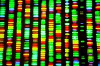 DNA sequencing readout for bacterial identification