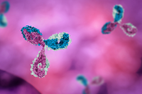 artist's rendering of antibody