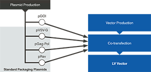 LVV HelperPlasmid common plasmids