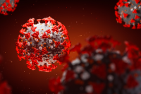 Coronavirus 3D illustration