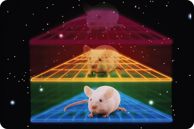 Illustration of a white mouse on a neon-colored grid pyramid, layered with red, yellow, and green, set against a starry black background.