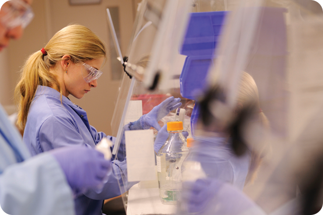 A scientist wearing safety goggles, a blue lab coat, and purple gloves works in a laboratory, using equipment within a biosafety cabinet.