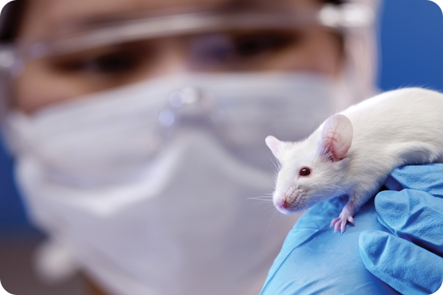Lab technician wearing a mask and goggles holding a white mouse with a gloved hand.