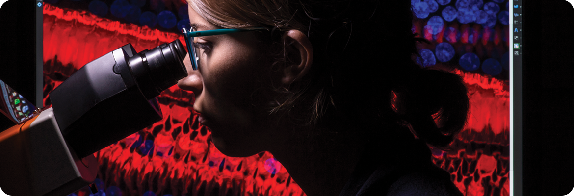 A person viewing a microscope, with a vibrant red and blue abstract pattern on a screen behind them.