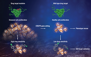 Added value of CRISPR Cas9 technology in phenotypic rescue experiments