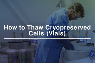 still image from how to thaw a cryopreserved leukopak video