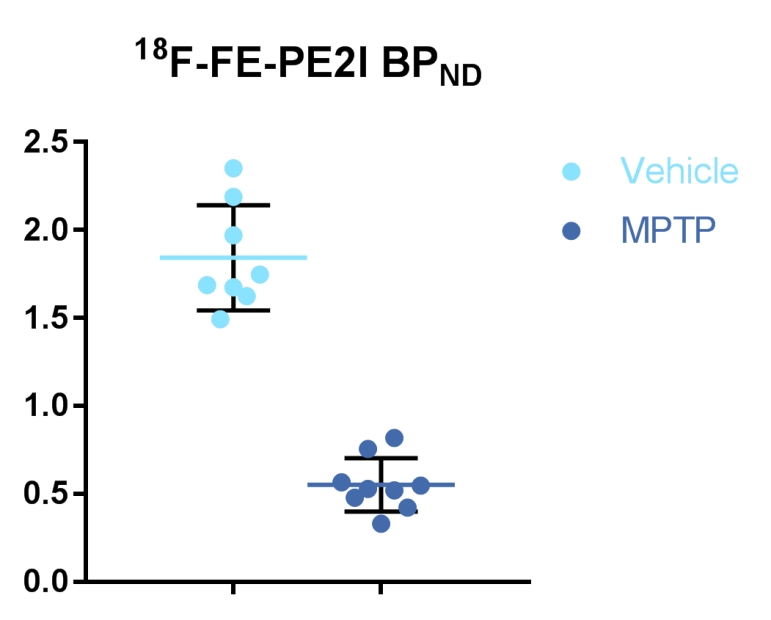 Cumulative data showing reduction of dopamine transporter levels in a Parkinson’s disease mouse model. The statistically significant reduction is seen across multiple animals.