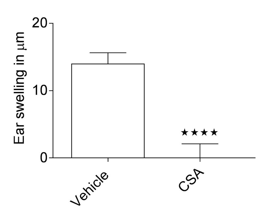 Graph showing ear swelling in 2,4,6-trinitrochlorobenzene (TNCB)-induced allergic contact dermatitis model to demonstrate efficacy of Cyclosporin A (CSA) compared to the vehicle
