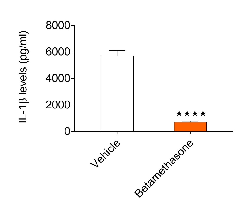 data showing reduced levels of IL-1β in ear homogenates in the Betamethasone group when compared to the vehicle in oxazolone-induced allergic contact dermatitis model.