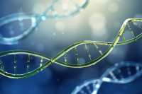 identificação microbiana do sequenciamento para contextualizar a identificação de fungos