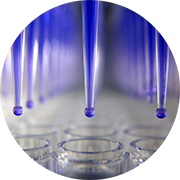 droppers putting liquid into test tubes
