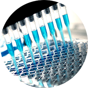 Droppers filling test tubes with blue liquid