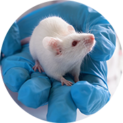 Gloved hand holding a mouse