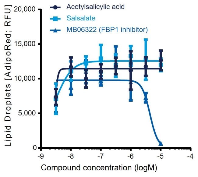 chart showing Lipid droplet accumulation