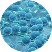 Illustration of a Wound/Skin Infection.
