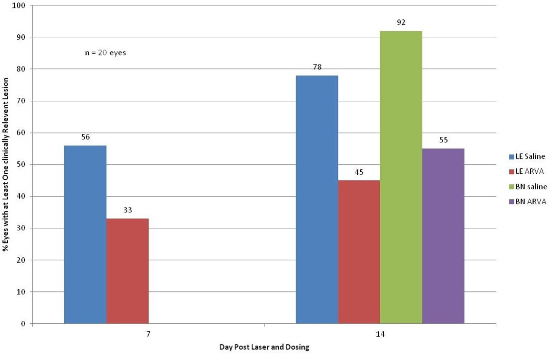 chart of percentage of eyes lesions in rats dosed with saline and rat-specific anti-VEGF antibody (ARVA)