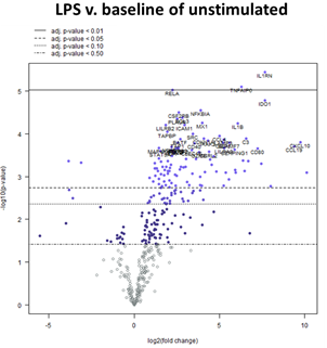 Assessing immune modulation at the preclinical, in vivo pharmacology and first-in-human clinical trial stages of drug discovery in a contract research organization