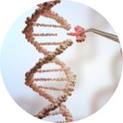 illustration of genetic engineering and gene manipulation used in CRISPR Cas 9 technology