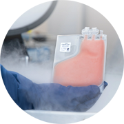 Cryopreserved leukopaks.