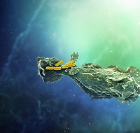 Electron microscope image of infection