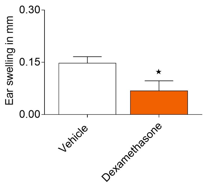 graph of ear swelling in irritant (Capsaicin) contact dermatitis model to demonstrate efficacy of dexamethasone compared to the vehicle at 24hrs post challenge