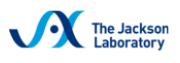 jax logo